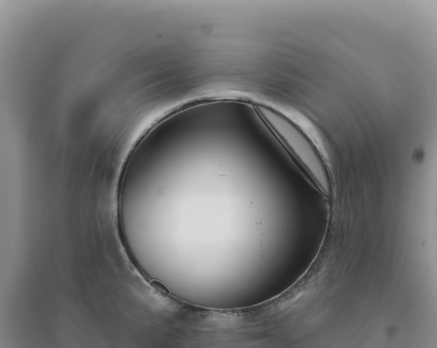 X0000094381191200711091554