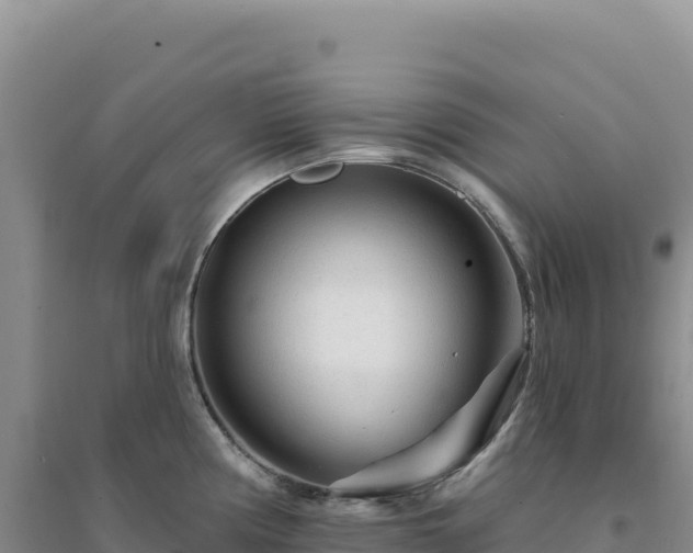 X0000094381194200711091554