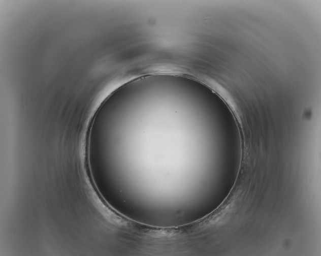 X0000094381195200711091554