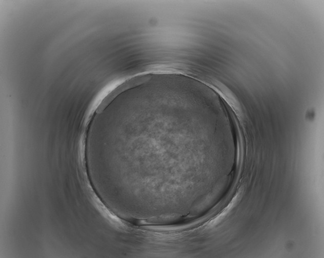 X0000094381196200711091554