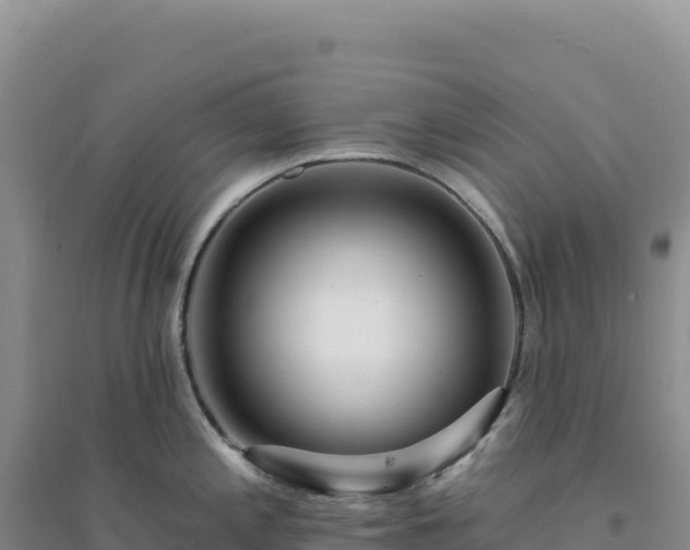 X0000094381197200711091554