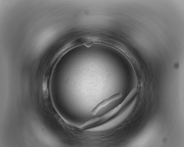 X0000094381198200711091554