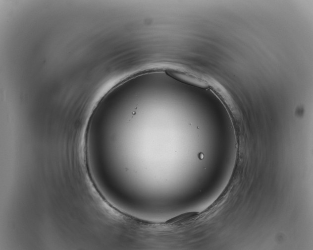 X0000094381199200711091554