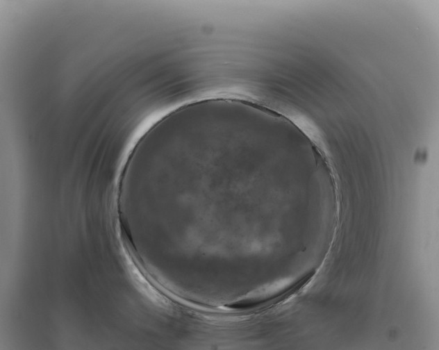 X0000094381200200711091554