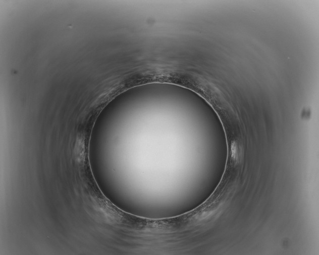 X0000094381203200711091553