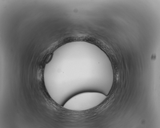 X0000094381204200711091553
