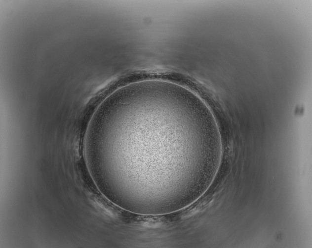 X0000094381205200711091553