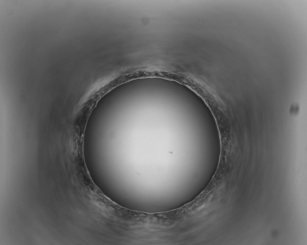 X0000094381207200711091553