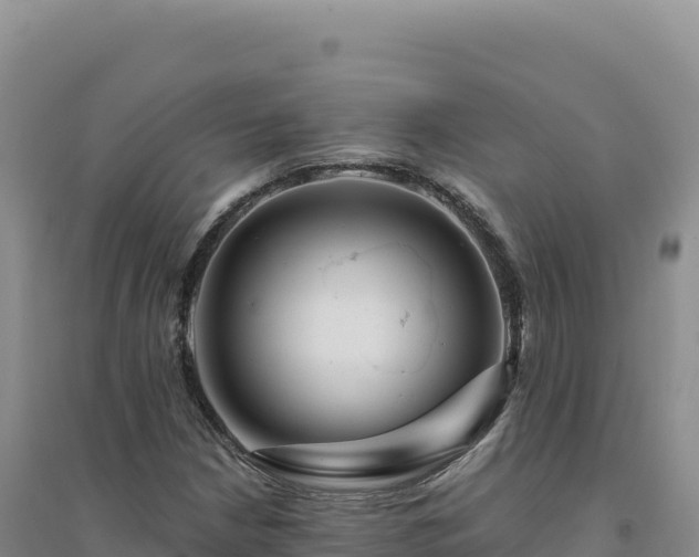 X0000094381210200711091553