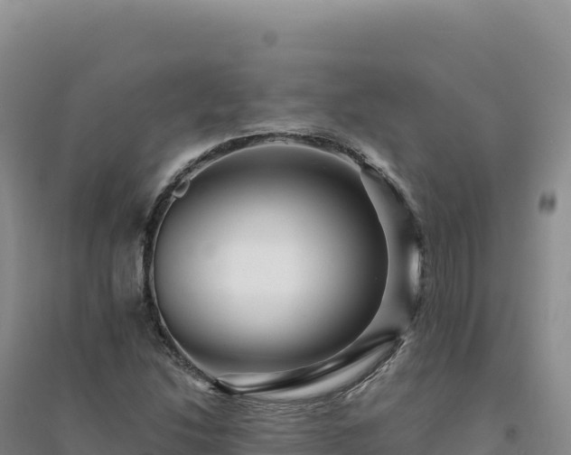 X0000094381214200711091553