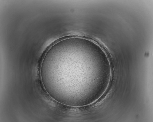 X0000094381215200711091553