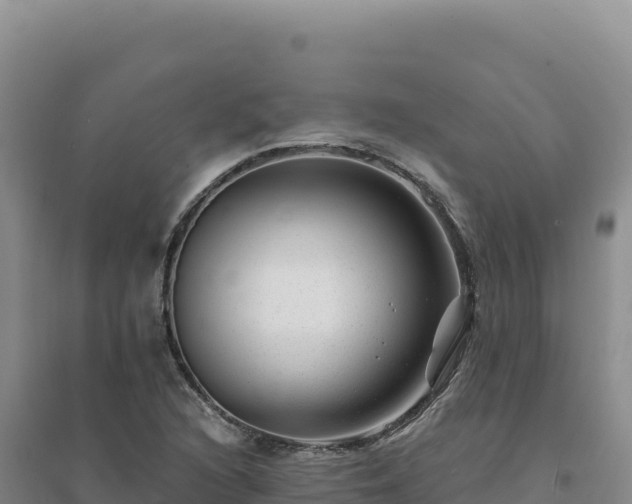 X0000094381216200711091553
