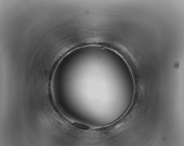 X0000094381217200711091553