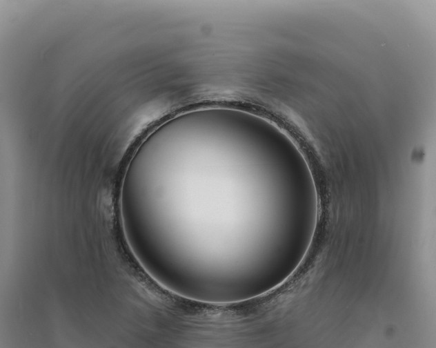 X0000094381218200711091553