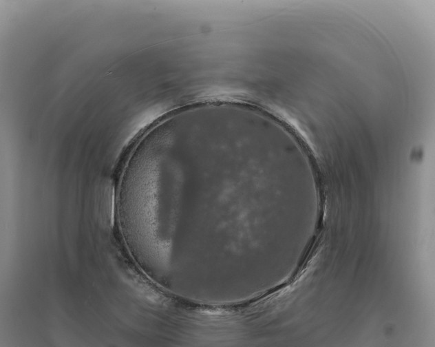 X0000094381219200711091553
