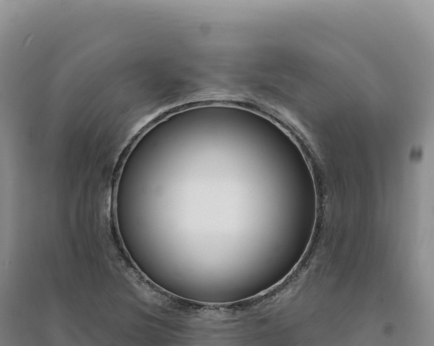 X0000094381220200711091553