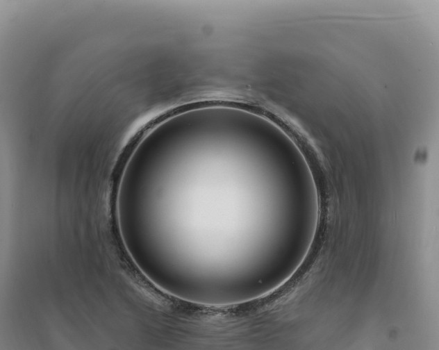 X0000094381222200711091553