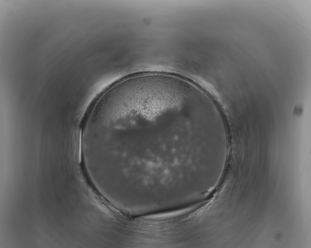 X0000094381223200711091553