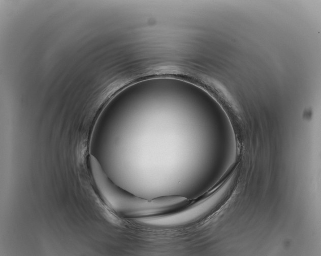 X0000094381225200711091553