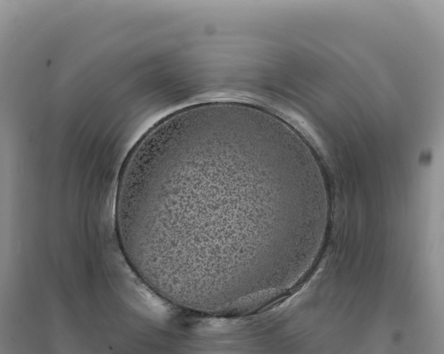 X0000094381228200711091553