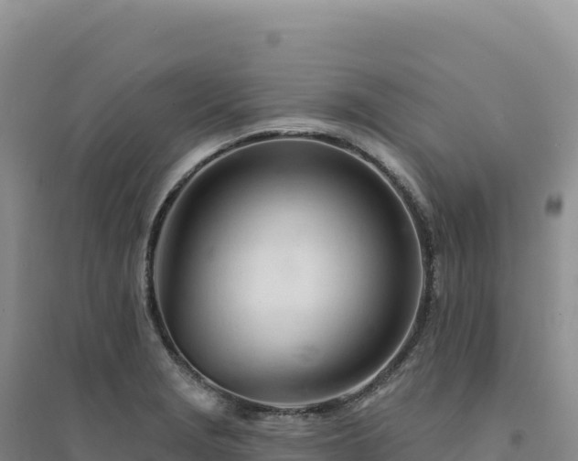 X0000094381229200711091553