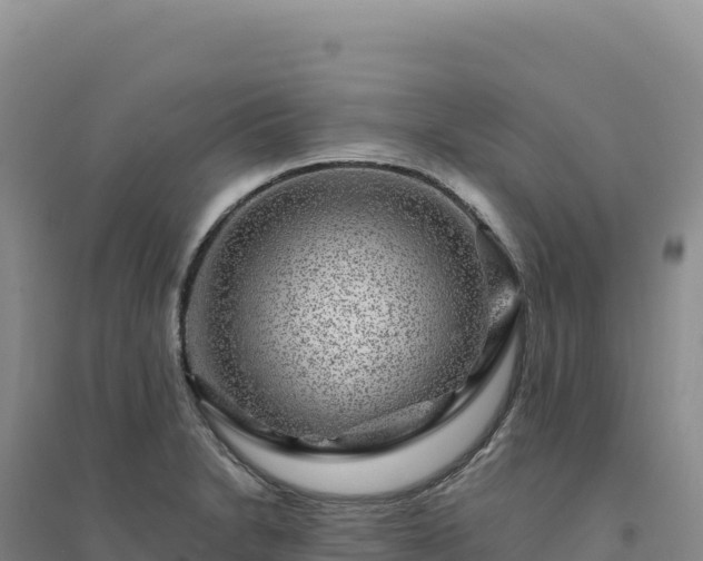 X0000094381230200711091554