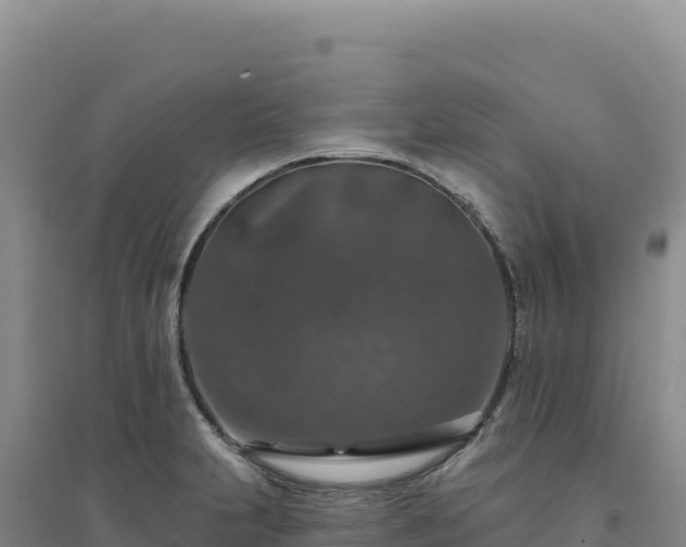 X0000094381231200711091554