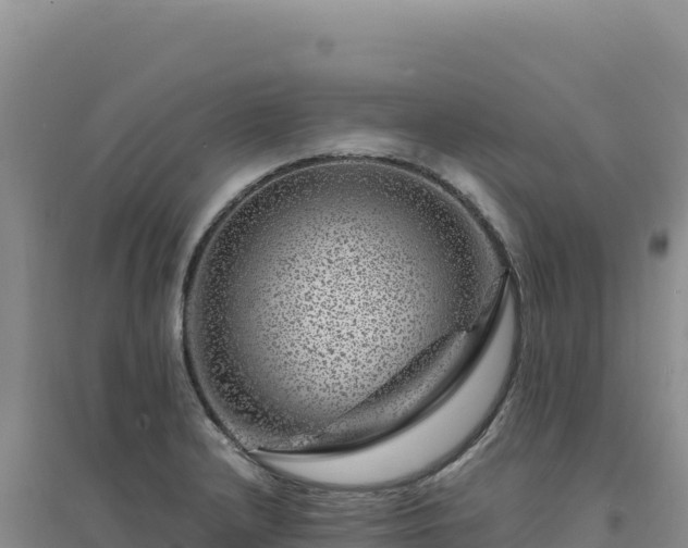 X0000094381232200711091554