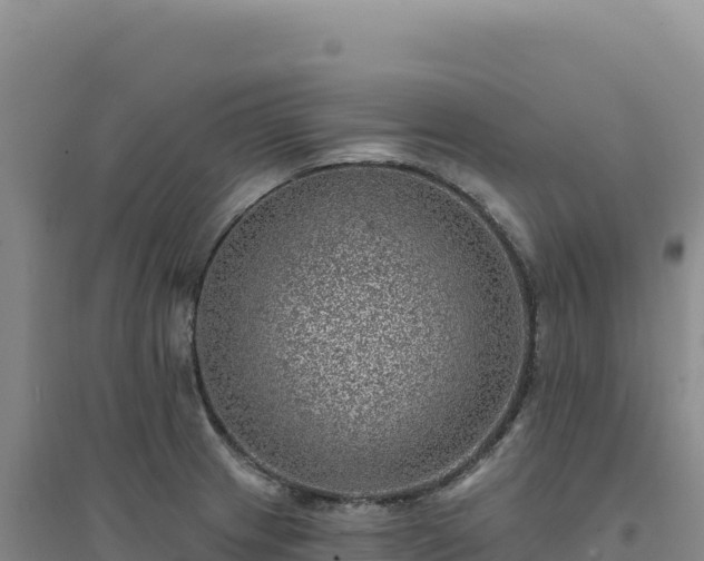 X0000094381233200711091554