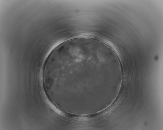 X0000094381235200711091554