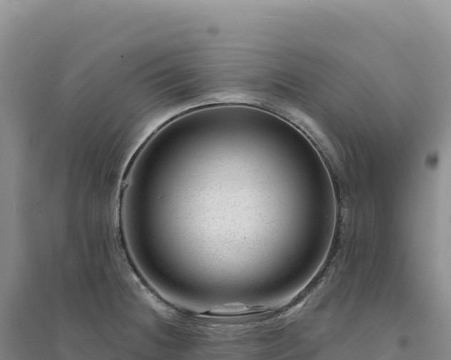 X0000094381236200711091554