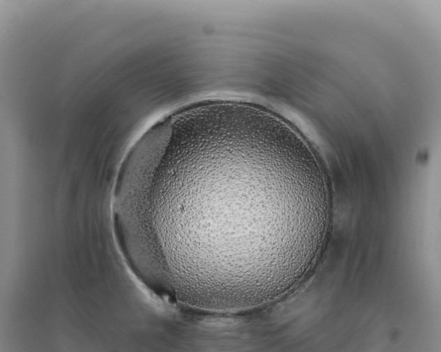 X0000094381237200711091554