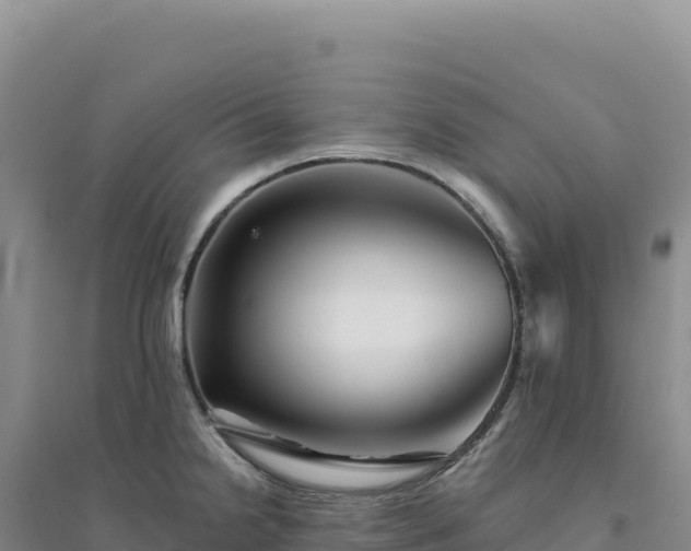 X0000094381238200711091554
