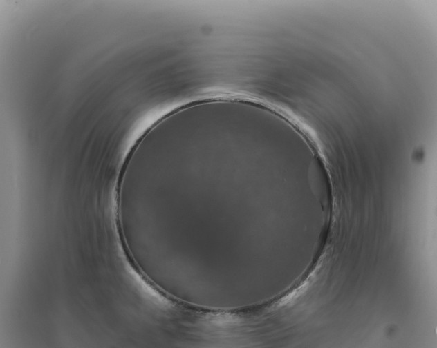 X0000094381239200711091554