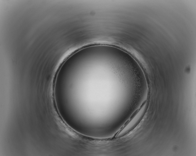 X0000094381240200711091554