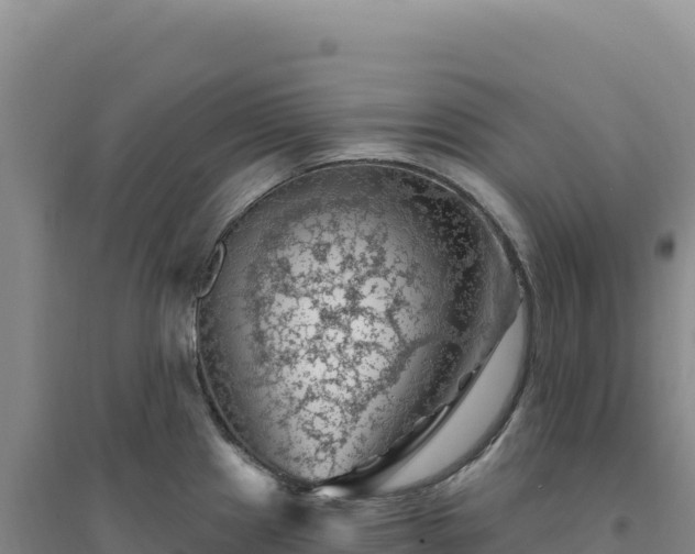 X0000094381241200711091554