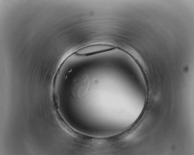X0000094381242200711091554