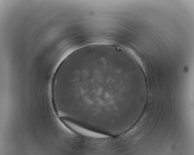 X0000094381243200711091554