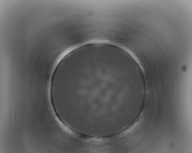 X0000094381245200711091554