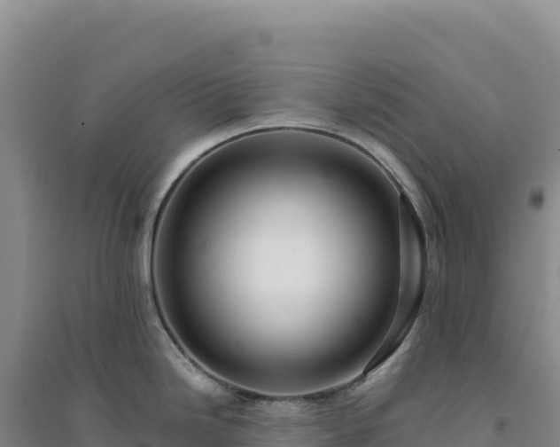 X0000094381246200711091554