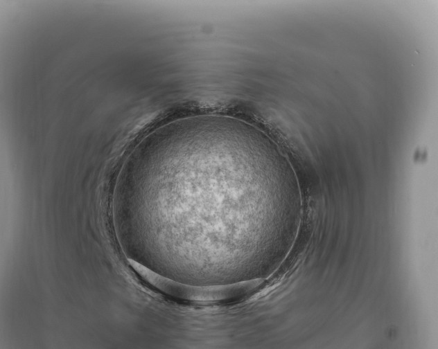 X0000094381249200711091553