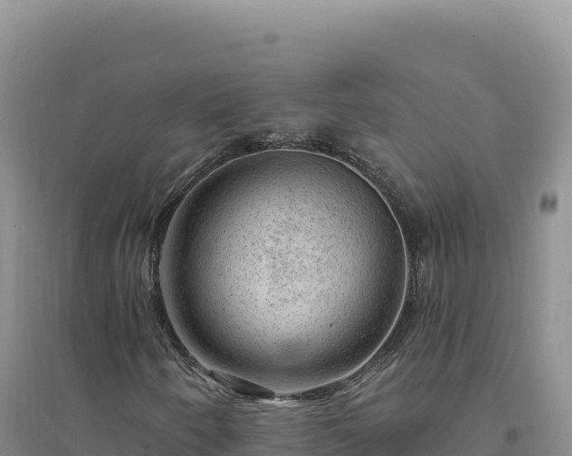 X0000094381250200711091553