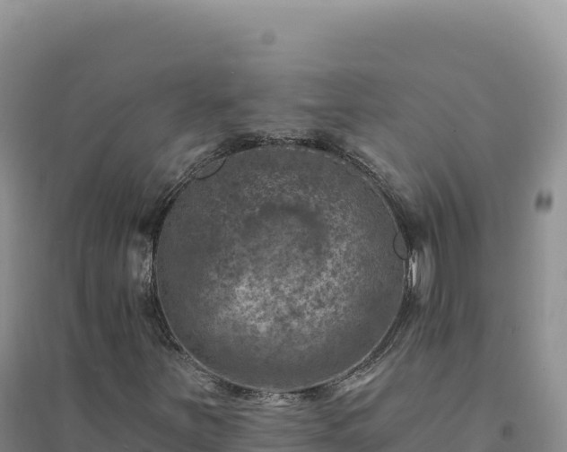 X0000094381251200711091553