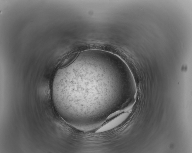 X0000094381252200711091553