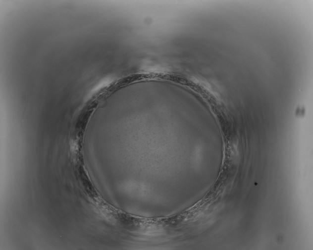 X0000094381254200711091553