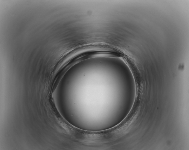 X0000094381257200711091553