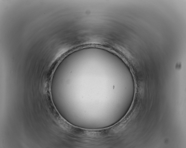 X0000094381258200711091553