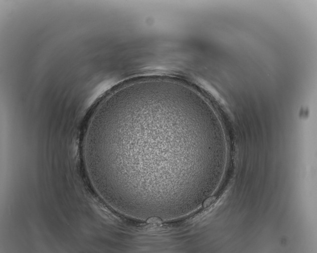 X0000094381259200711091553