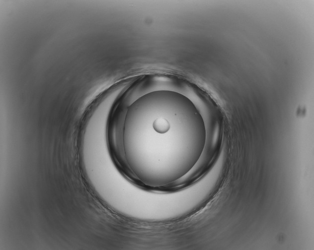 X0000094381261200711091553