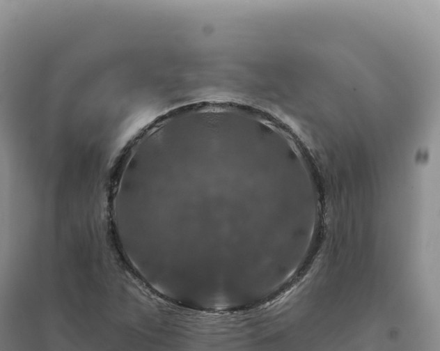X0000094381263200711091553